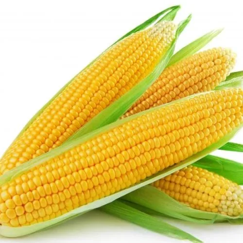 Corn