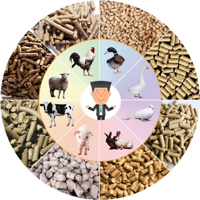 Animal Feed